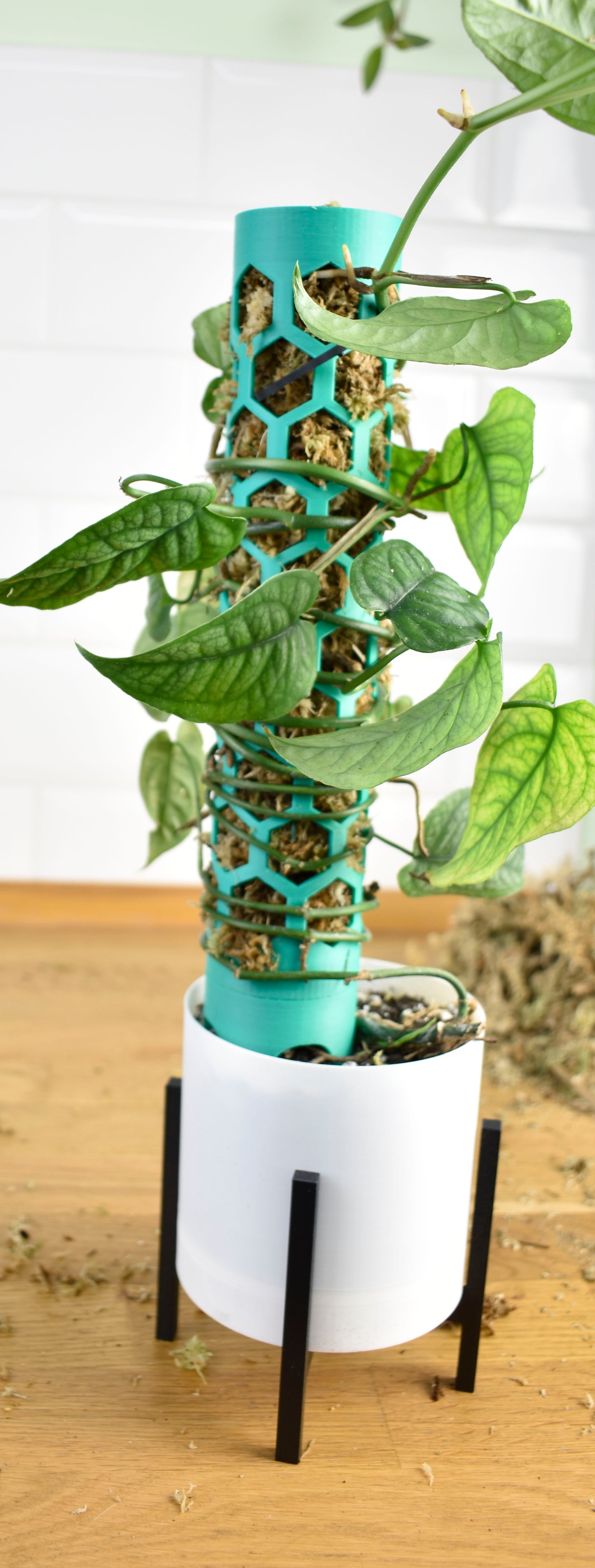 Moderner Blumentopf mit Ständer