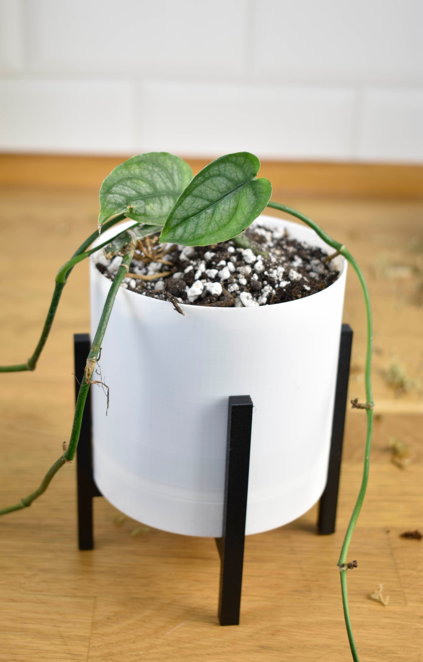Moderner Blumentopf mit Ständer