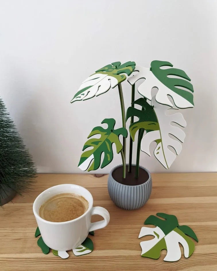 Monstera_Variegata_poharalatet_szett_3