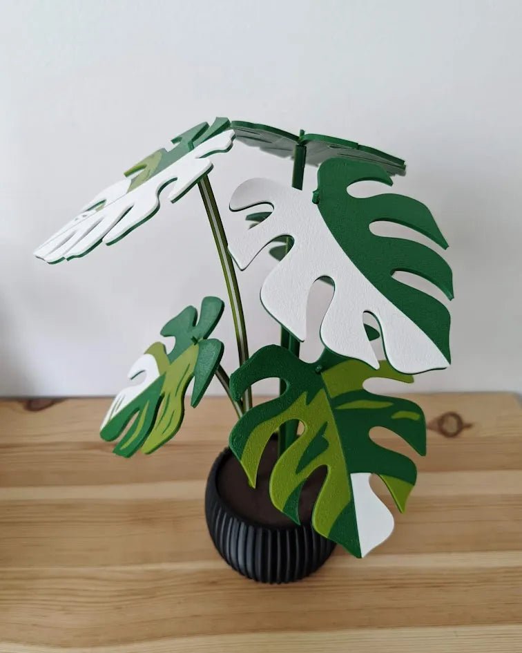 Monstera_Variegata_poharalatet_szett_5