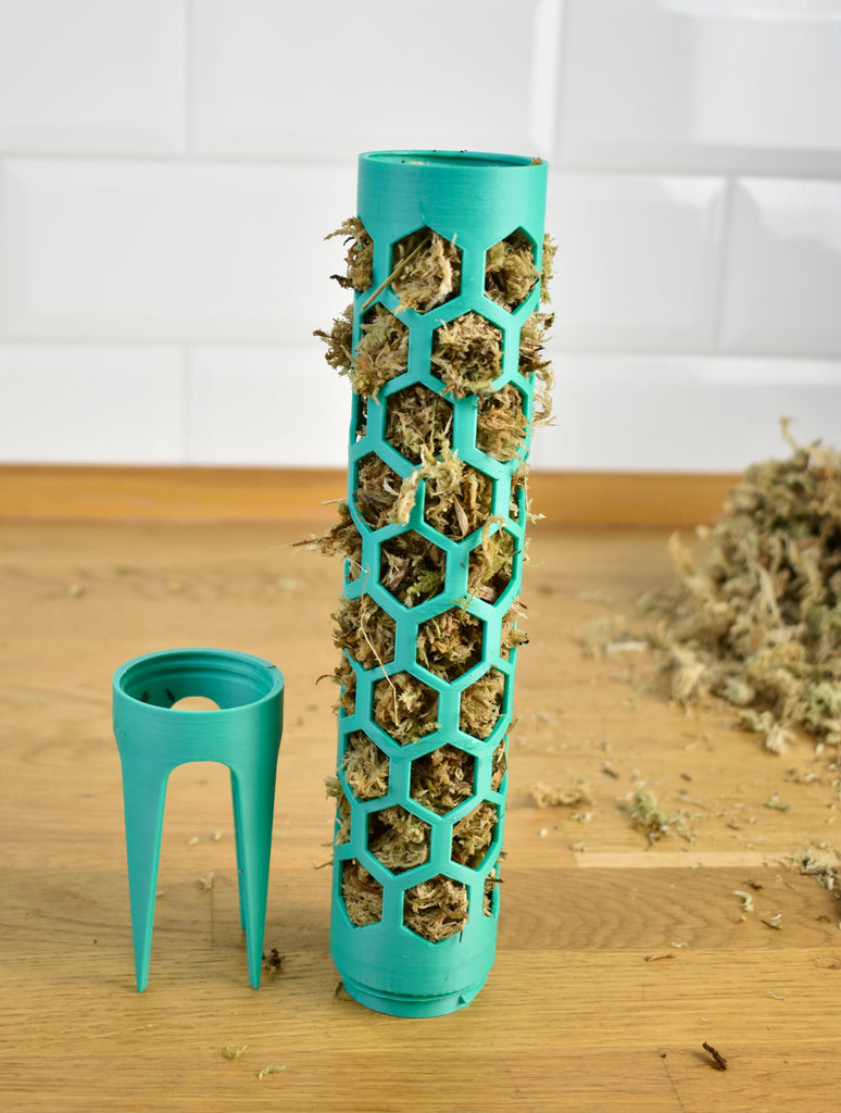 Hogyan készíts mohakarót a felfelé kúszó növényeidnek?