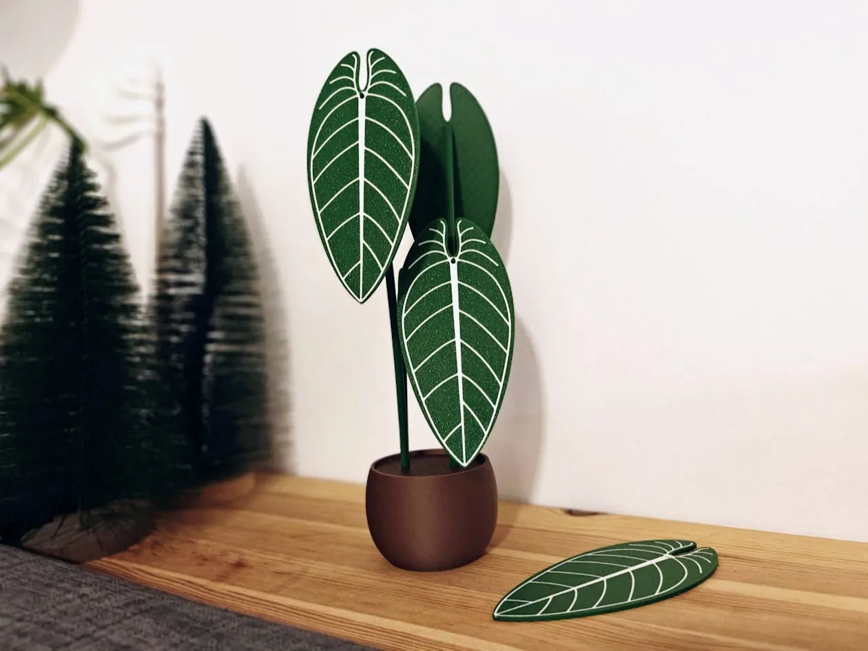Anthurium_Waro_noveny_poharalatet_szett