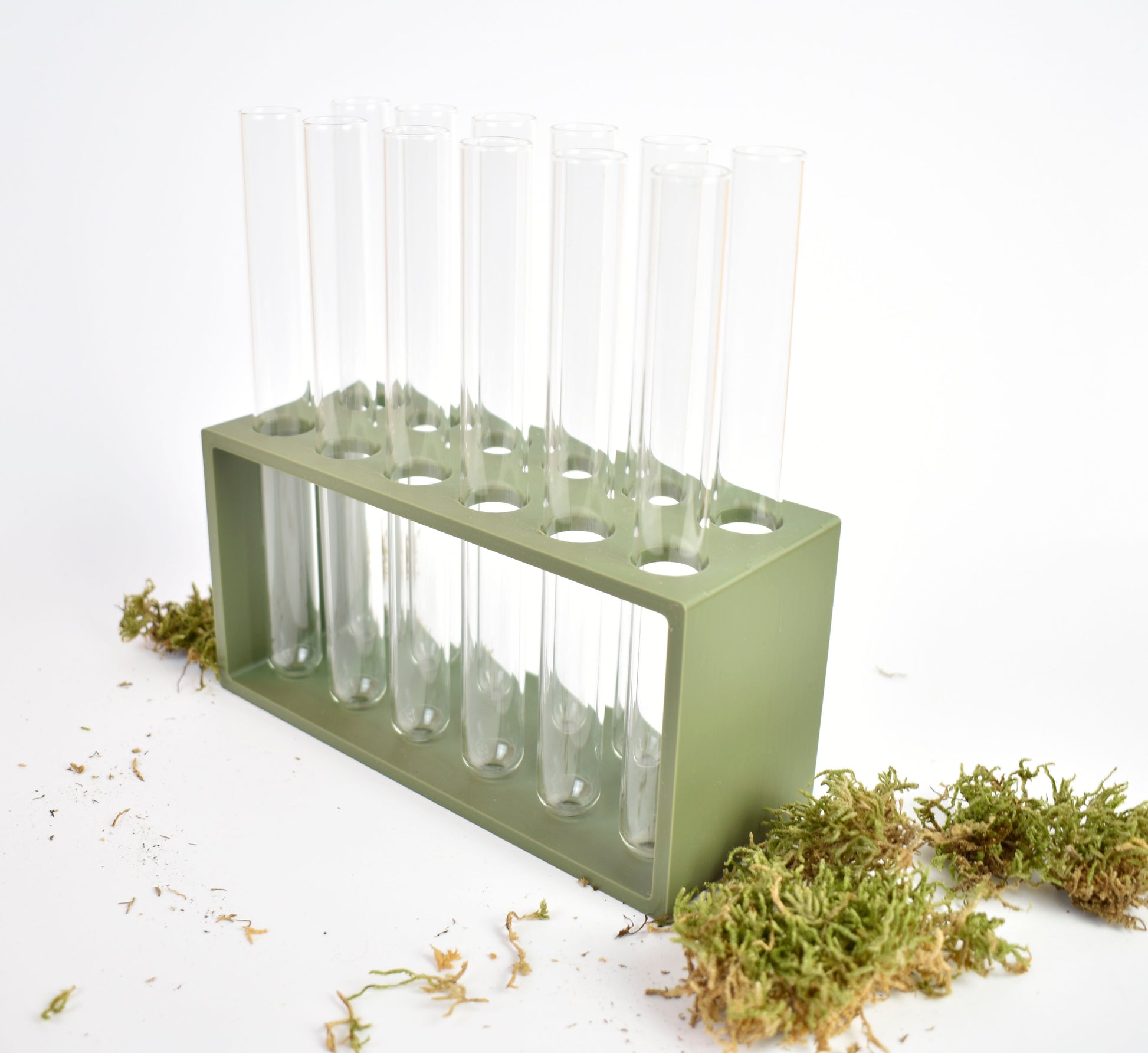 test tube succulent Buy a unique test tube plant rooting station