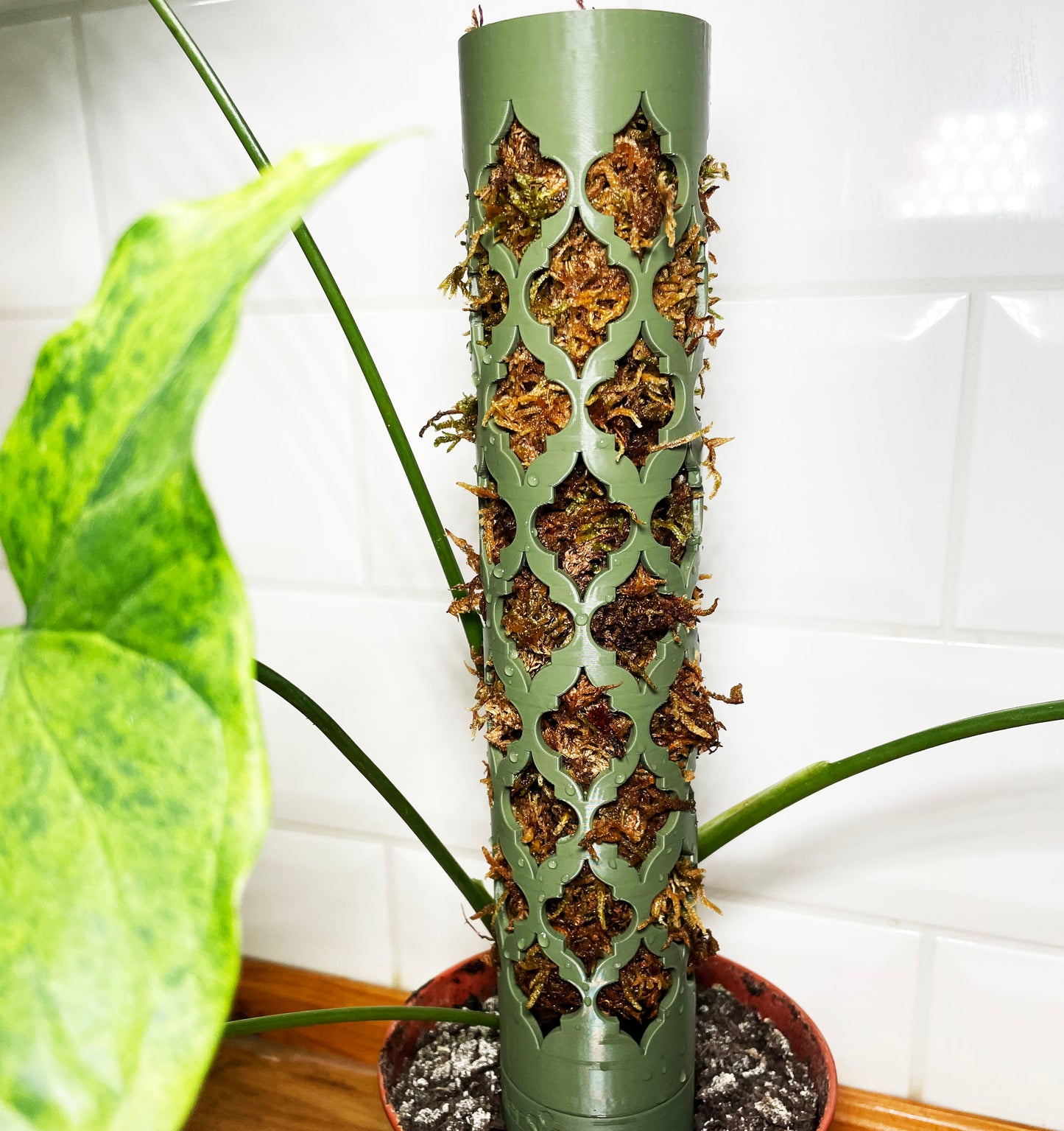 Coriander™ bővíthető R-mohakaró Arabesque