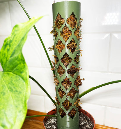 Coriander™ bővíthető R-mohakaró Arabesque