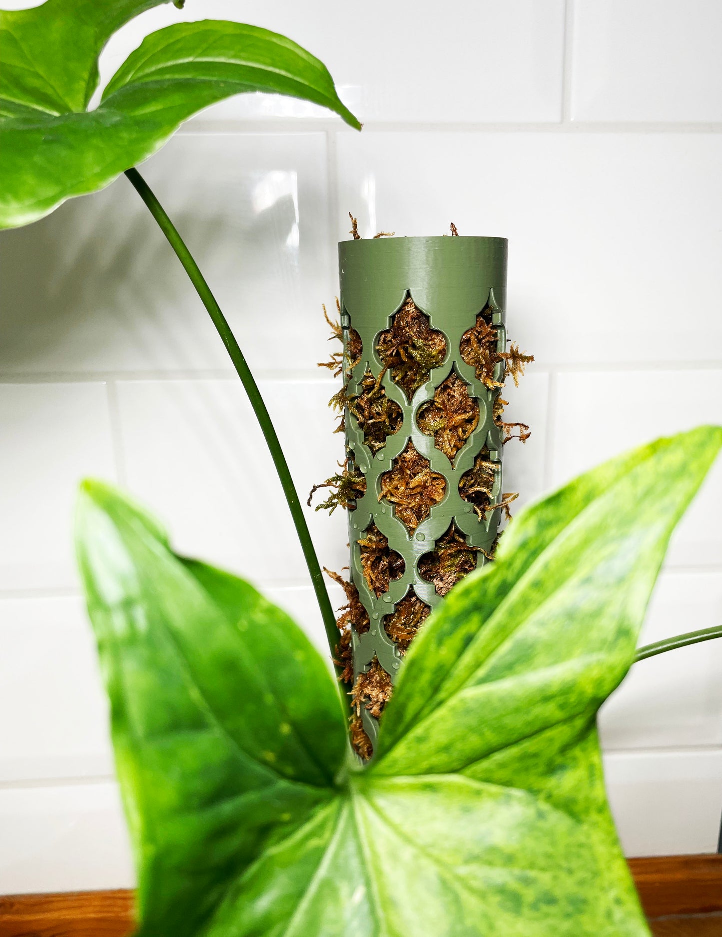 Coriander™ bővíthető R-mohakaró Arabesque