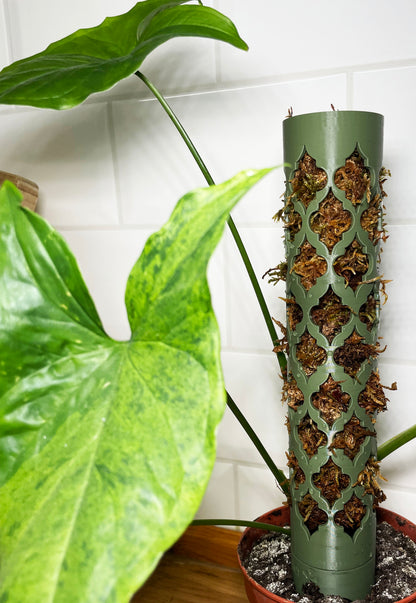 Coriander™ bővíthető R-mohakaró Arabesque