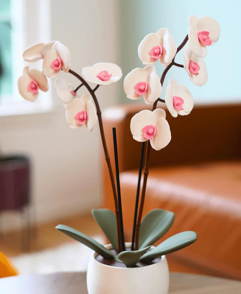 Illatos_orchidea_ad_1