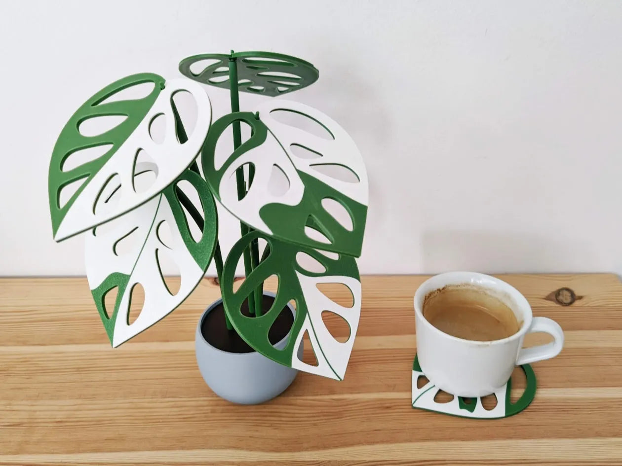 Monstera_Adansonii_Variagated_poharalatet_szett_1