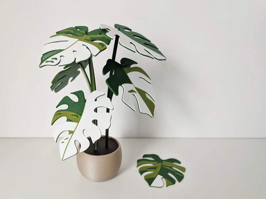 Monstera_Variegata_poharalatet_szett_1