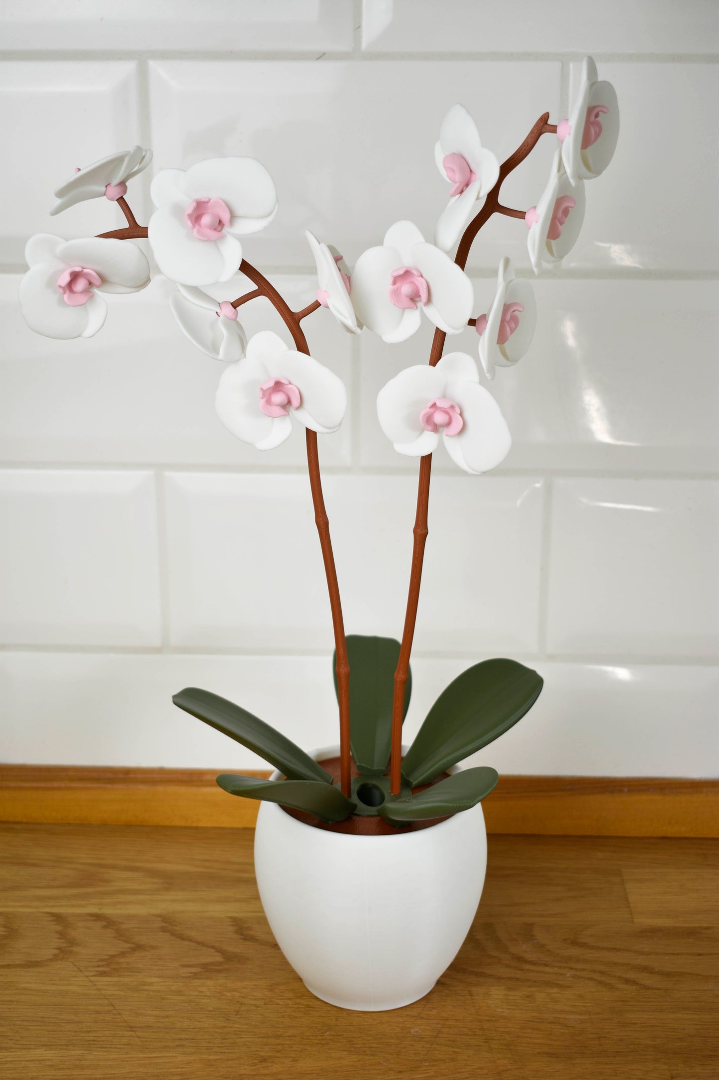 Orchidea_4