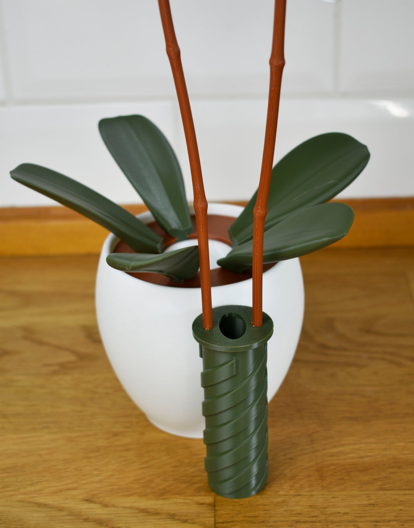 Orchidea_6