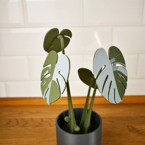 Monstera poháralátét szett